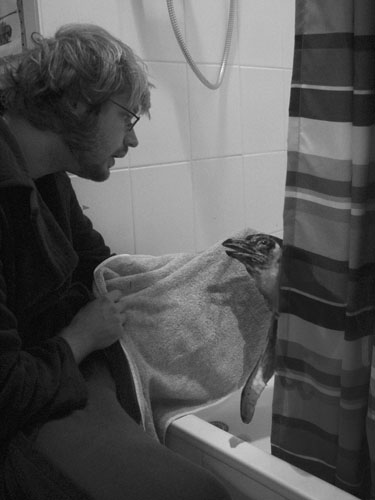 Pinguin in Dusche
